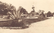 The garden